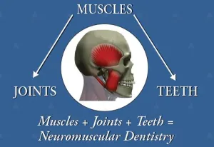 Neuromuscular Dentistry graphic